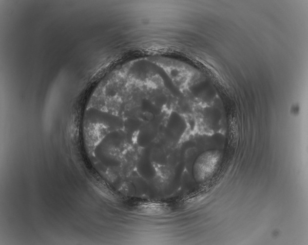 X0000116800499201001151125