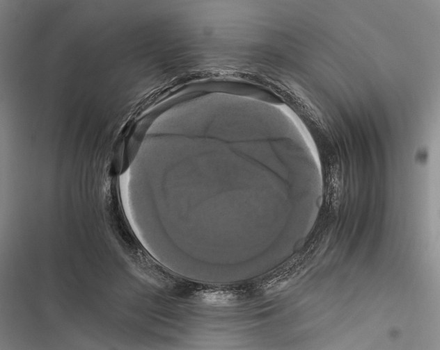 X0000116800500201001151125