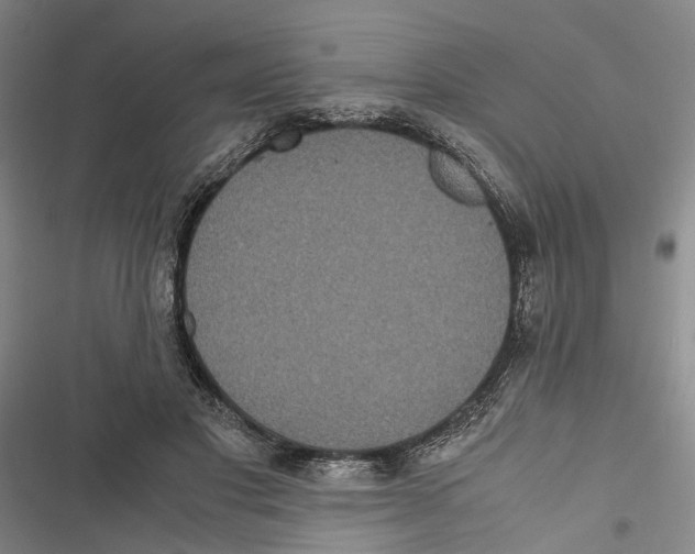 X0000116800501201001151125