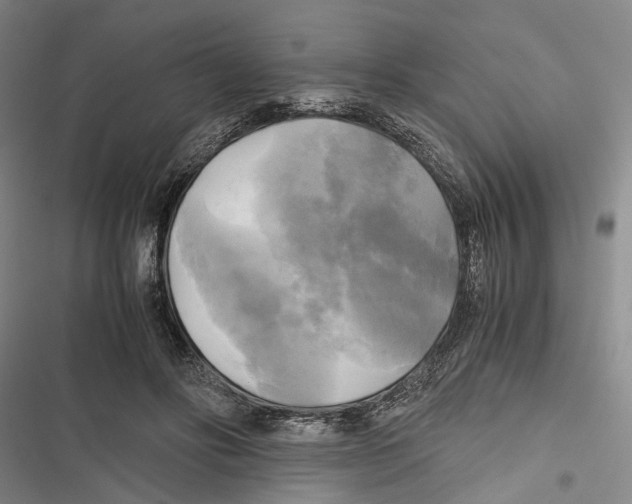 X0000116800502201001151125