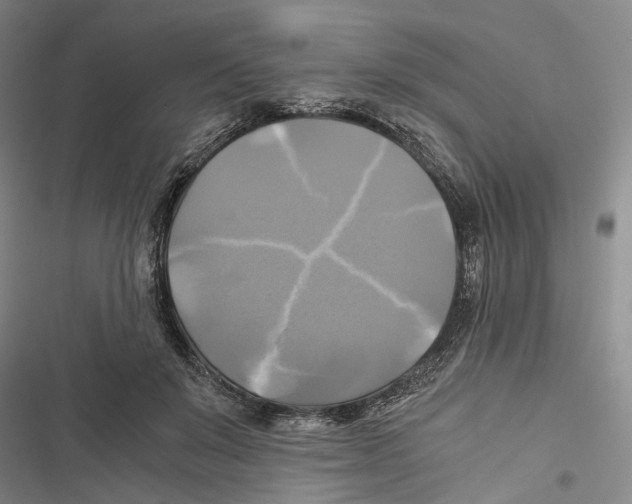 X0000116800503201001151125