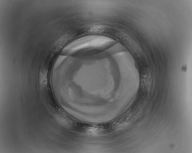 X0000116800504201001151125