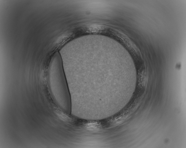 X0000116800505201001151125