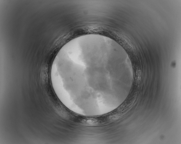 X0000116800506201001151125