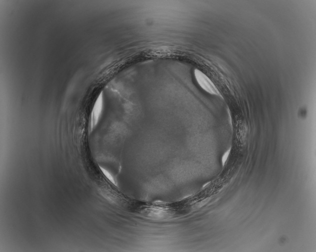 X0000116800507201001151125