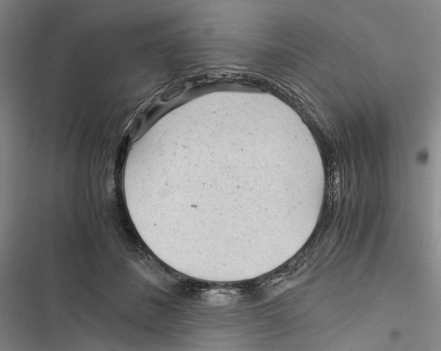 X0000116800508201001151125
