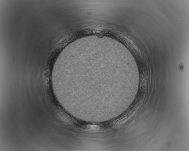 X0000116800509201001151125