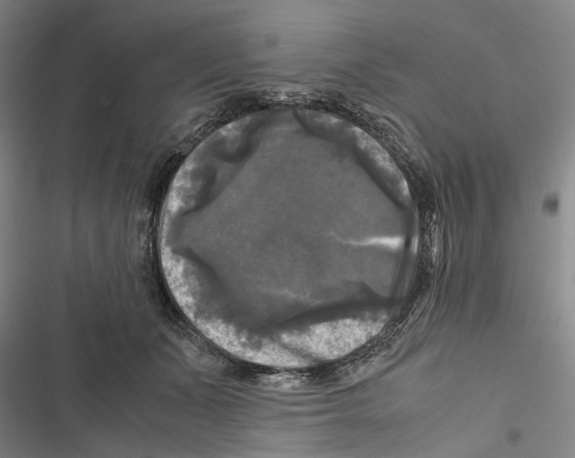 X0000116800511201001151125