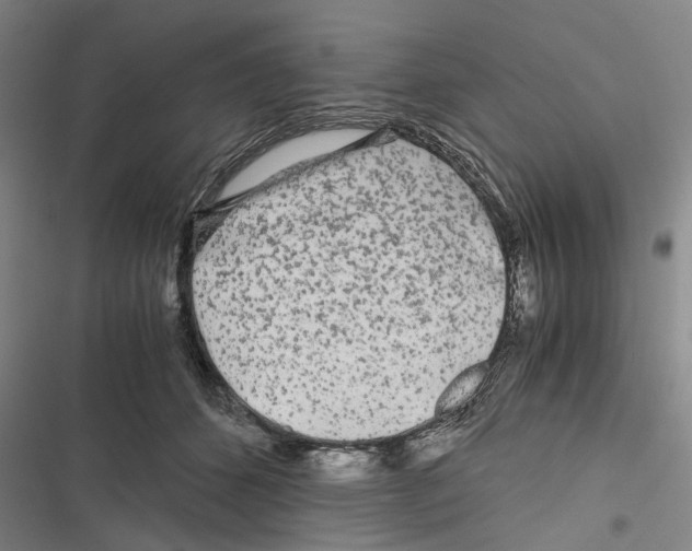 X0000116800512201001151125