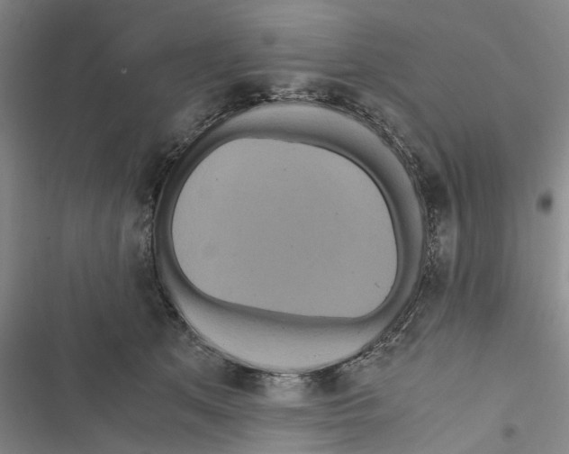 X0000116800513201001151125
