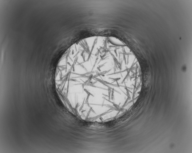 X0000116800515201001151125
