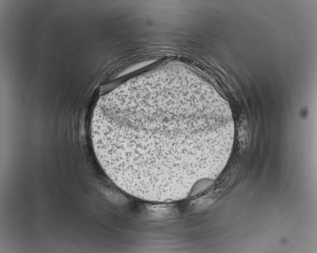 X0000116800516201001151125