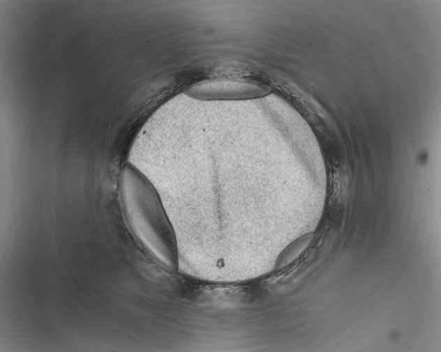 X0000116800517201001151125
