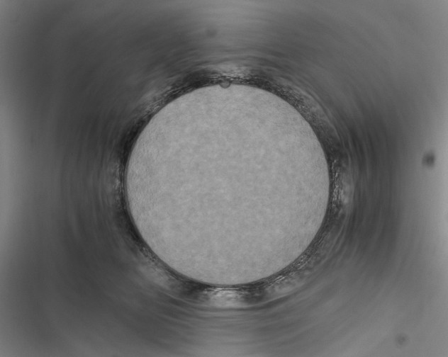X0000116800518201001151125