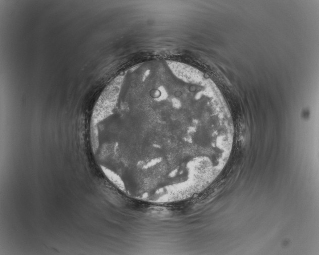 X0000116800519201001151125
