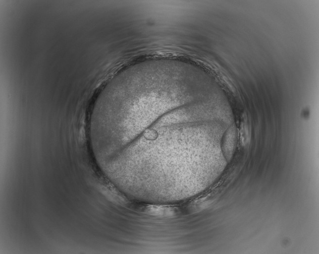 X0000116800520201001151125