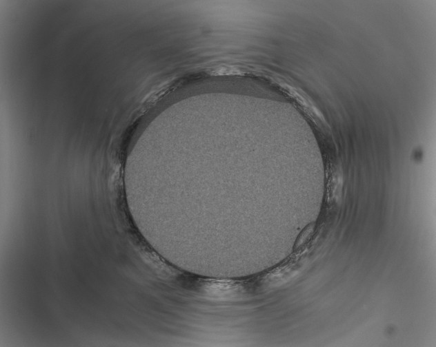X0000116800521201001151125