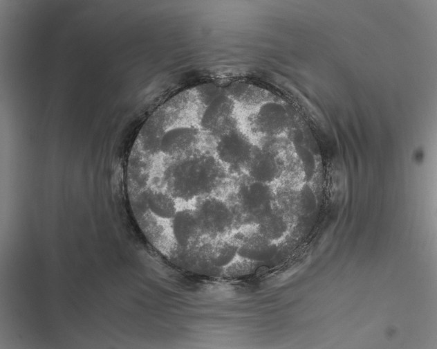 X0000116800523201001151125