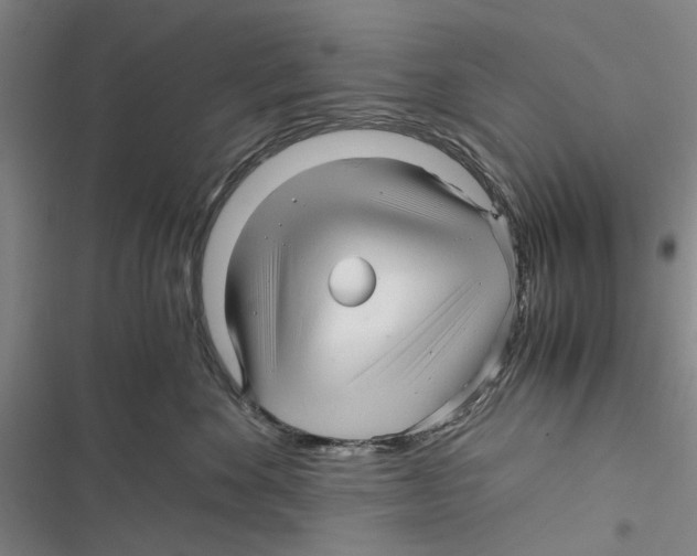 X0000116800524201001151125
