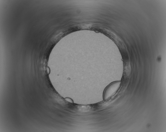 X0000116800525201001151125