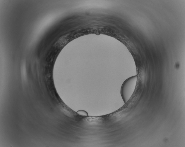 X0000116800526201001151125