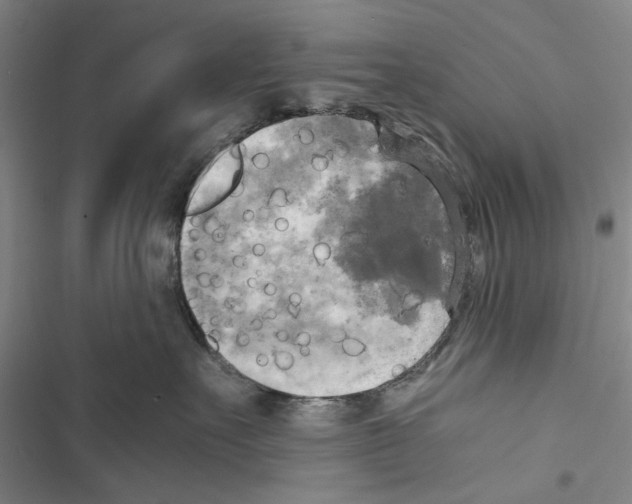 X0000116800527201001151125