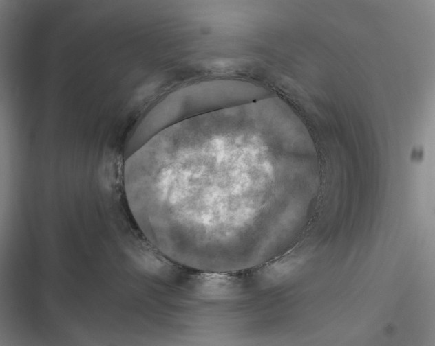 X0000116800528201001151125