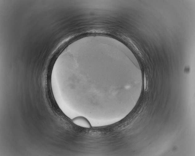 X0000116800531201001151124