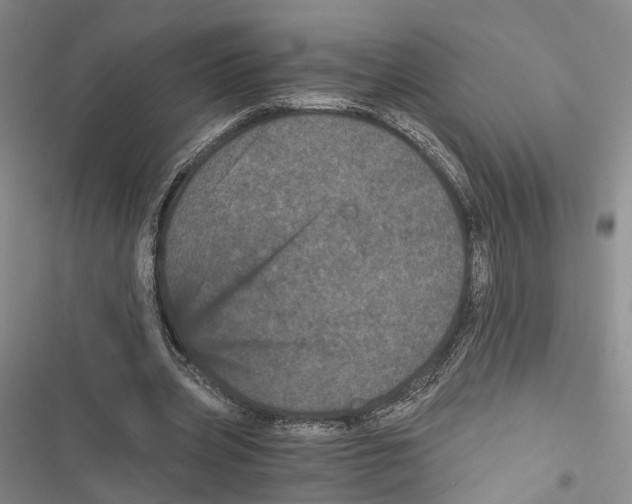 X0000116800533201001151124