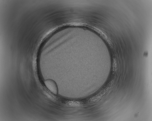 X0000116800535201001151124