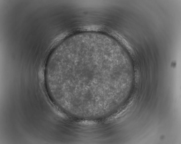 X0000116800537201001151124