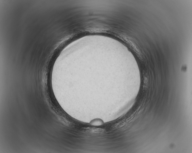 X0000116800539201001151124