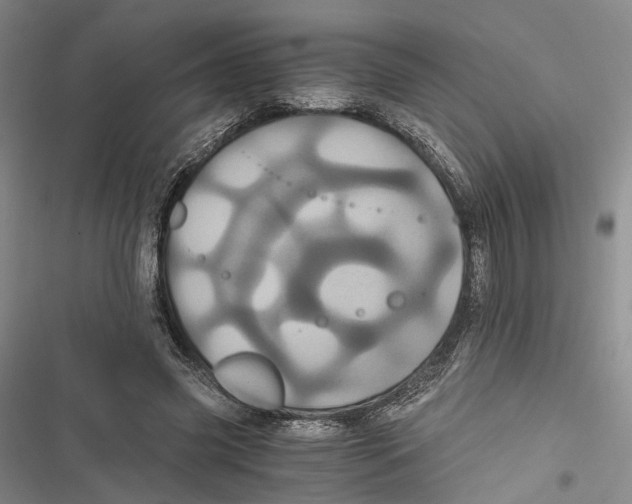 X0000116800541201001151124