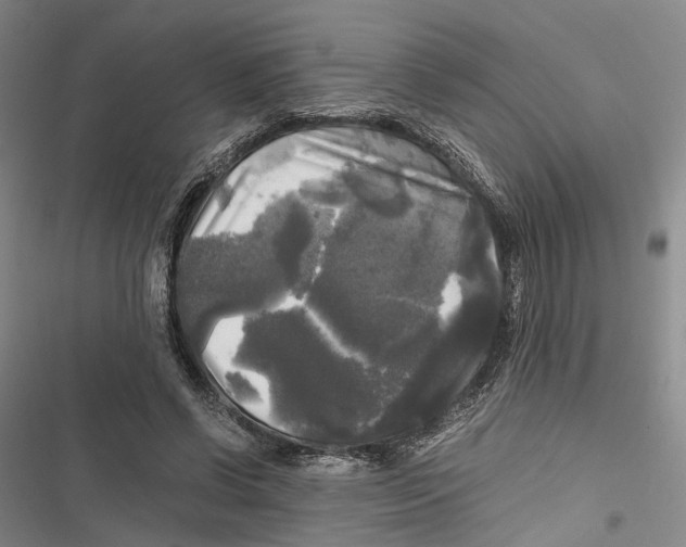 X0000116800542201001151124