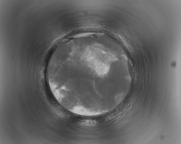 X0000116800543201001151124