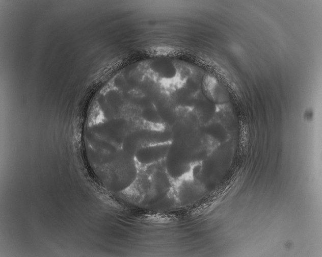 X0000116800545201001151124