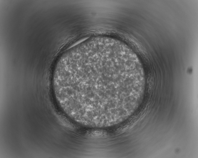 X0000116800546201001151124