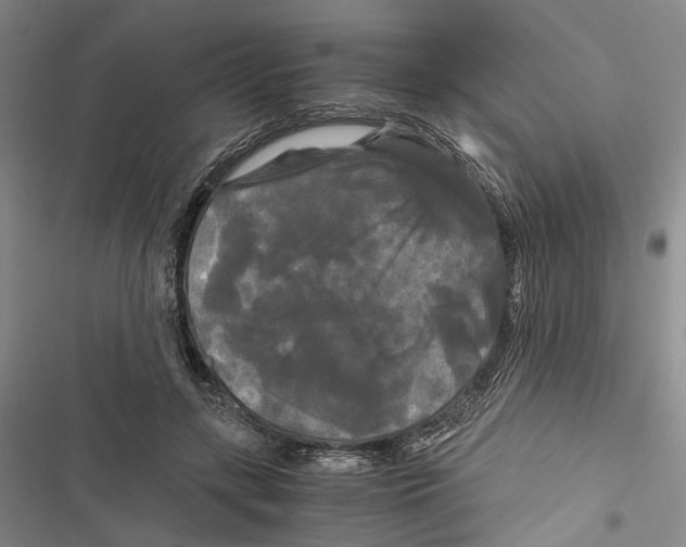 X0000116800547201001151125