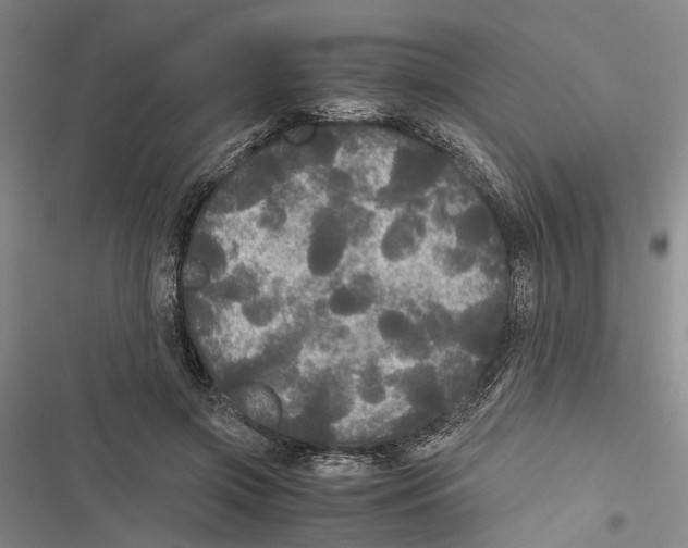 X0000116800549201001151125