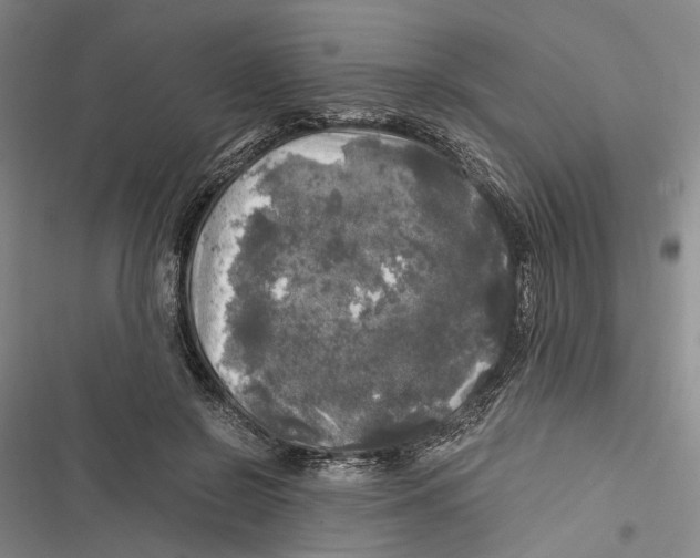 X0000116800550201001151125