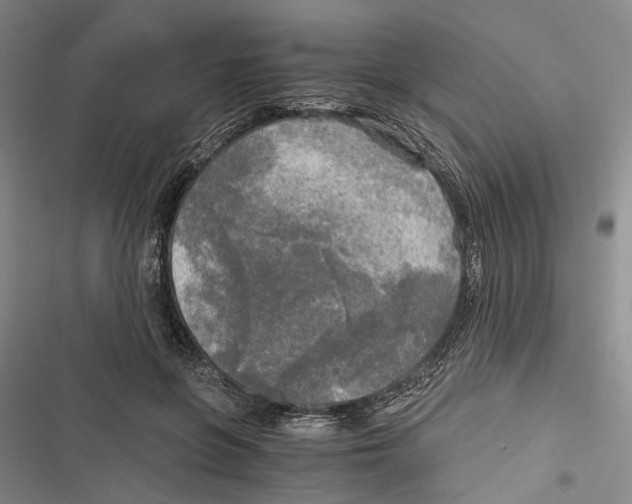 X0000116800551201001151125