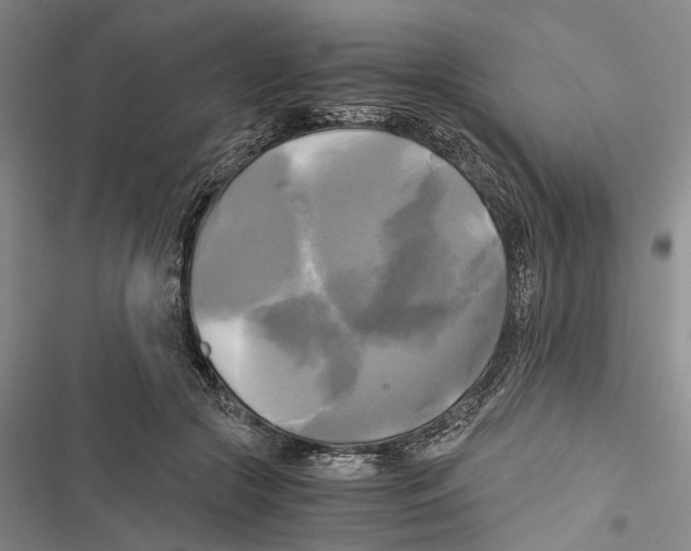 X0000116800553201001151125