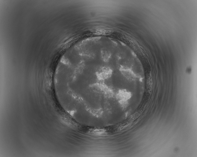 X0000116800554201001151125