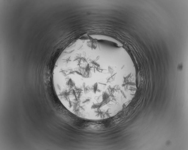 X0000116800555201001151125