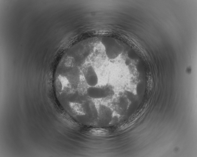 X0000116800557201001151125