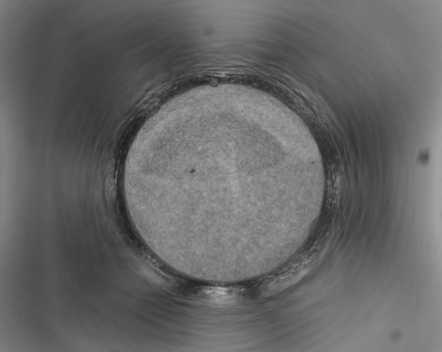 X0000116800558201001151125