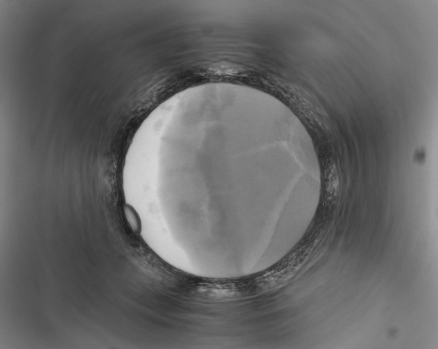 X0000116800559201001151125