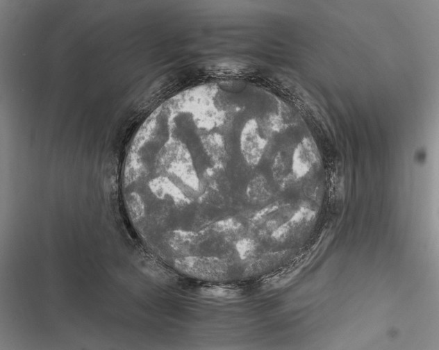 X0000116800561201001151125