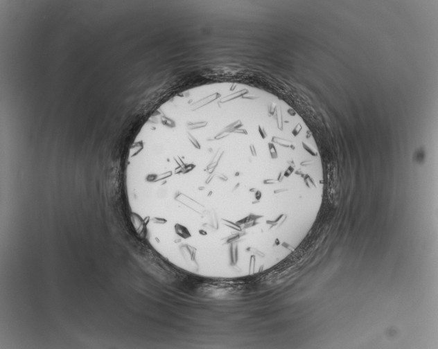 X0000116800563201001151125