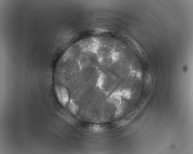 X0000116800565201001151125